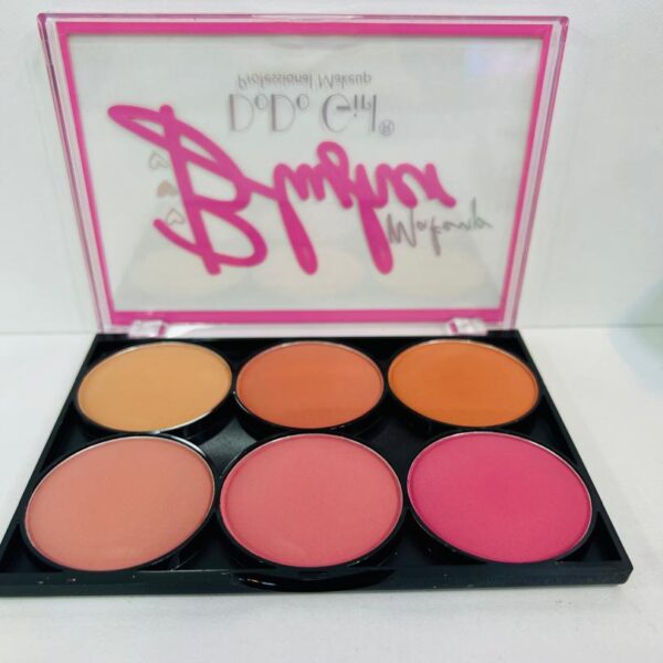 Palette de Blush – DODO GIRL Professional