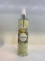 Brume EVORIA – Image 4
