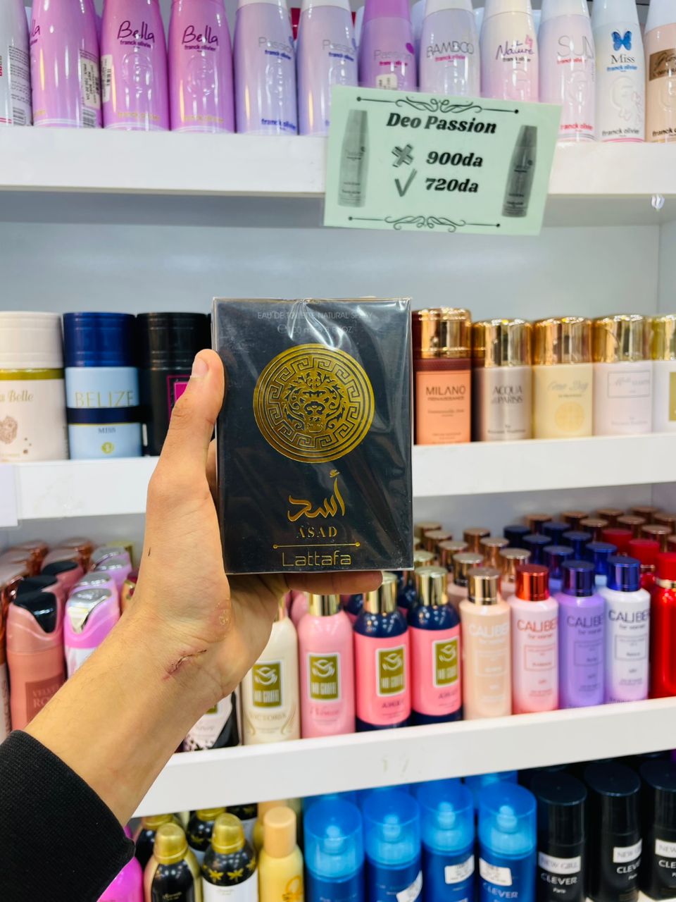 WhatsApp Image 2026-03-31 at 17.22.47 (2) EDT ASAD – Image 1