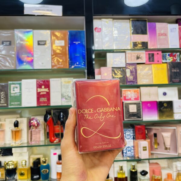 Taster Original Dolce Gabbana