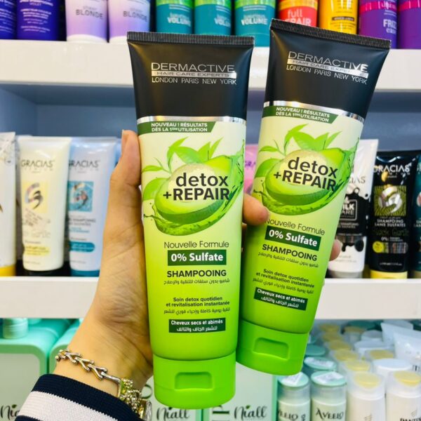 Shampoing et Demelant Dermactive